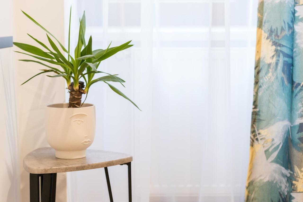 Cadoro City Center Apartments أرادايا المظهر الخارجي الصورة